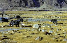 Tibet (118 von 257).jpg